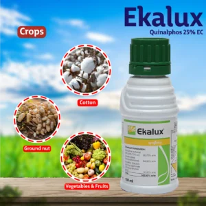 EKALUX 100 ML