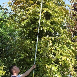 ARS 160ZF LONG REACH PRUNER